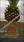 Click Here To View This Palm Tree Item Picture Full Size - Palm Trees In Houston Texas