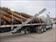 Click Here To View This Palm Tree Item Picture Full Size - Palm Trees In Houston Texas